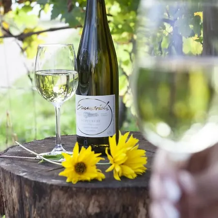 Weingut I Winzerhof Emmerich Bed & Breakfast