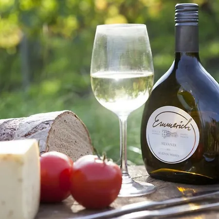 Weingut I Winzerhof Emmerich